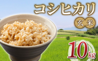 令和7年産 新米!有機肥料使用のコシヒカリ 玄米 10kg(5kg×2袋)一等米|長野県東御市 ※2025年10月下旬以降順次発送(月、火、金曜日発送限定。発送日、発送曜日指定不可)