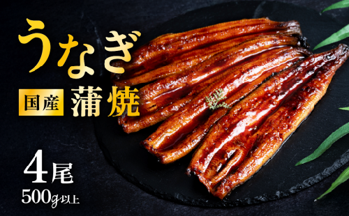 【 発送月・容量が選べる！ 】【 03月発送 】 国産 うなぎ蒲焼 上うなぎ4尾 500g以上 山椒付き 鰻 ウナギ たれ タレ たっぷり うな重 鰻重 ひつまぶし