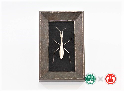 銀の虫　カマキリ 額装 / metal insect series 180-d5 0641