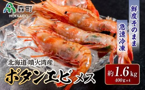 北海道噴火湾産ボタンエビメス400g×4<海鮮問屋　株式会社　瑞宝> えび エビ 海老 ぼたんえび ぼたん海老 ボタン海老 ボタンエビ ぼたんエビ ボタンえび 牡丹海老 北海道 森町 ふるさと納税 北海道 mr1-0531 158506 - 北海道森町