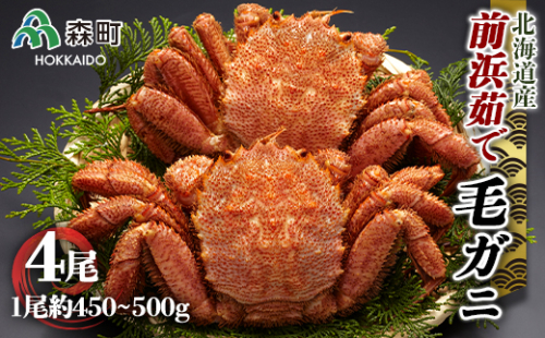 前浜茹で毛ガニ（約450-500g×4尾） ＜株式会社 鳥潟＞  かに カニ 蟹 ガニ 森町 北海道 毛蟹 毛かに 毛ガニ 毛カニ ふるさと納税 北海道 mr1-0019 158520 - 北海道森町