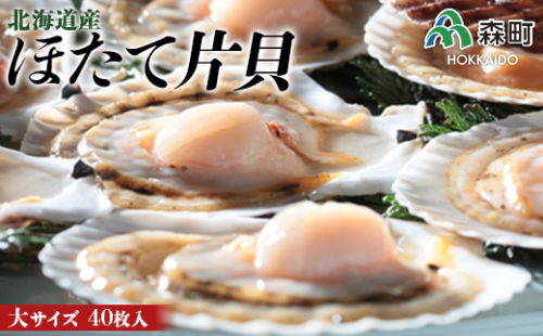 北海道産 ほたて片貝 (40枚入)＜ワイエスフーズ＞ 森町 ほたて 帆立 ホタテ 海産物 魚貝類 ふるさと納税 北海道 mr1-0879 158529 - 北海道森町