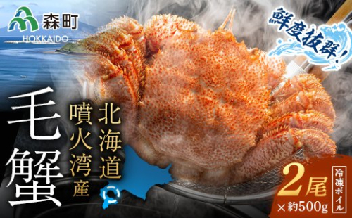 北海道・噴火湾産冷凍ボイル毛ガニ約500g前後×2尾 ＜海鮮問屋　株式会社　瑞宝＞ かに カニ 蟹 ガニ がに 森町 ふるさと納税 北海道 毛蟹 毛かに 毛ガニ 毛カニ mr1-0949
 158556 - 北海道森町