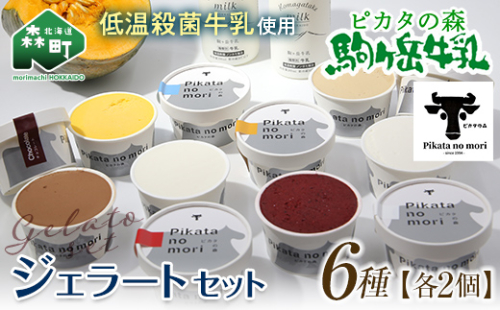 駒ヶ岳牛乳 ジェラート12個セット（各2個×6種）＜ピカタの森 駒ケ岳牛乳＞ 低温殺菌 ノンホモ牛乳 森町 洋菓子 デザート スイーツ ジェラート アイス 氷菓セット ふるさと納税 北海道 mr1-0503-1 158571 - 北海道森町