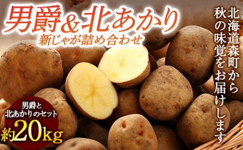 【先行予約】【新じゃが】 北海道の男爵&北あかり約20kg （2023年8月下旬～順次お届け） 野菜 ジャガイモ じゃがいも きたあかり 北あかり だんしゃく 男爵いも フライドポテト 北海道 セット mr1-0157 158581 - 北海道森町