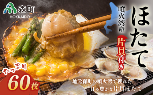 噴火湾産冷凍ほたて片貝6袋（60枚入）のセット＜海鮮問屋　株式会社　瑞宝＞ 森町 ほたて 帆立 ホタテ 海産物 魚貝類 ふるさと納税 北海道 mr1-0099 158686 - 北海道森町
