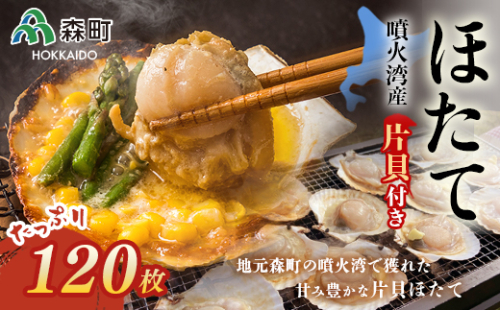 噴火湾産冷凍ほたて片貝12袋（120枚入）のセット ＜海鮮問屋　株式会社　瑞宝＞ 森町 ほたて 帆立 ホタテ 海産物 魚貝類 ふるさと納税 北海道 mr1-0063 158687 - 北海道森町