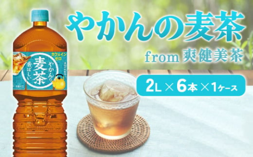 やかんの麦茶from爽健美茶PET 1ケース 2L×6本【コカコーラ】 日本茶 お茶 麦茶 ペットボトル カフェインゼロ 常温 送料無料 こども 美容 むくみ 1587198 - 宮崎県えびの市