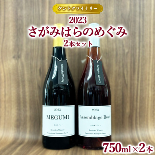 【ケントクワイナリー】2023 さがみはらのめぐみ 2本セット ※離島への配送不可 1587758 - 神奈川県相模原市