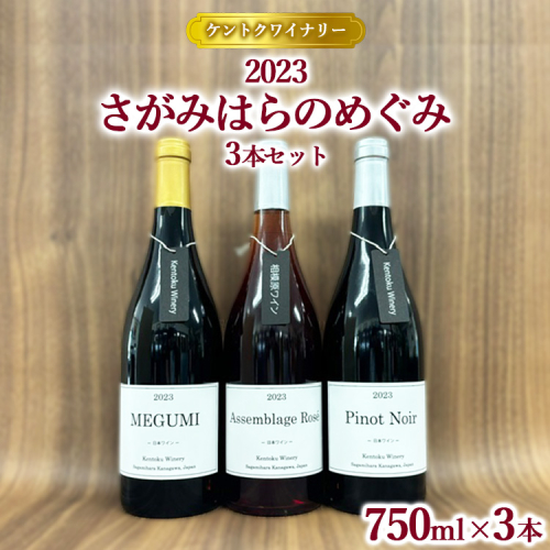 【ケントクワイナリー】2023 さがみはらのめぐみ 3本セット ※離島への配送不可 1587759 - 神奈川県相模原市