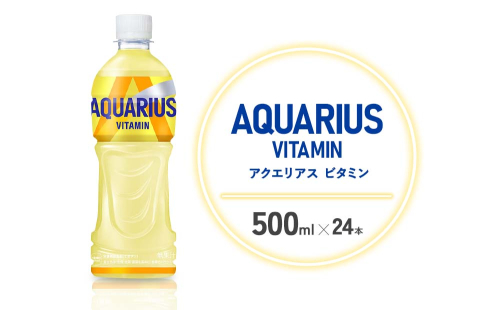 アクエリアス ビタミン PET 500ml×24本 1ケース【コカコーラ】 水分補給 スポーツ飲料 清涼飲料水 常温 AQUARIUS コカ・コーラ 熱中症対策 送料無料 1587760 - 宮崎県えびの市