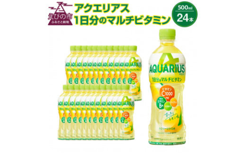 アクエリアス 1日分のマルチビタミン PET 500ml×24本 1ケース【コカコーラ】 水分補給 スポーツ飲料 清涼飲料水 常温 AQUARIUS コカ・コーラ 熱中症対策 送料無料 1587760 - 宮崎県えびの市