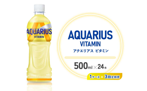【3回定期便】 アクエリアス 1日分のマルチビタミン PET (500ml×24本)×1ケース【コカコーラ】水分補給 熱中症対策 部活 少年団 運動 1587761 - 宮崎県えびの市