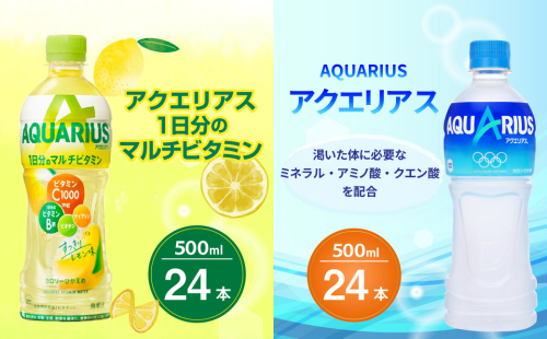 アクエリアス 1日分のマルチビタミン アクエリアス PET 500ml×24本×各1ケース セット 合計48本 2ケース【コカコーラ】水分補給 スポーツ飲料 清涼飲料水 常温 AQUARIUS コカ・コーラ 熱中症対策 送料無料 部活 少年団 1587764 - 宮崎県えびの市