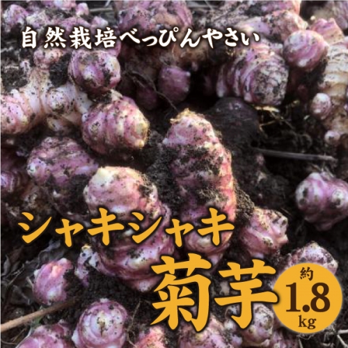 【2022年12月お届け】自然栽培べっぴんやさい『シャキシャキ菊芋』1.8kg
