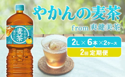 【2回定期便】やかんの麦茶 from 爽健美茶 PET 2L×6本×2ケース×2回 【コカコーラ】麦茶 お茶 飲料 ペットボトル カフェインゼロ 常温 こども 美容 むくみ 1588039 - 宮崎県えびの市