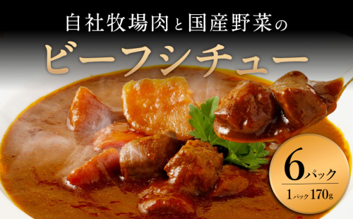 【720牧場グループ牛】自社牧場肉と国産野菜のビーフシチュー 170g×6パック 「720牧場グループ牛」100％使用 ビーフシチュー デミグラスソース 牛肉 惣菜 レトルト おかず 保存食 レンジ 簡単調理 おうちごはん 宮崎県 えびの市 送料無料 1588050 - 宮崎県えびの市