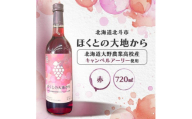 赤ワイン「ほくとの大地から」キャンベルアーリー720ml 【 ふるさと納税 人気 おすすめ ランキング ワイン 赤ワイン ライト 720ml キャンベルアーリー 葡萄 ぶどう 果実酒 お酒 ギフト 贈答 贈り物 プレゼント お祝い 北海道 北斗市 送料無料 】 HOKJ009