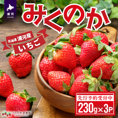 【先行予約受付中】北海道浦河産いちご「みくのか」230g×3P[13-1430] 1588439 - 北海道浦河町