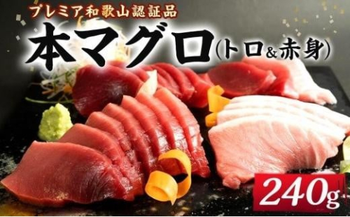 プレミア和歌山認証品 本マグロ（養殖）トロ＆赤身セット　240g【年末発送（12月26日から30日発送）】 158849 - 和歌山県上富田町