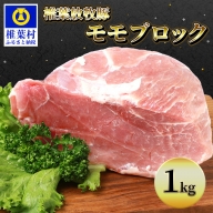 椎葉放牧豚 モモブロック【合計1Kg】【世界を翔ける 日本三大秘境の 美味しい 豚肉】【1キロ】【好きな量を好きなだけ使えて便利】