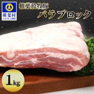 椎葉放牧豚 バラブロック【合計1Kg】【世界を翔ける 日本三大秘境の 美味しい 豚肉】【1キロ】【好きな量を好きなだけ使えて便利】