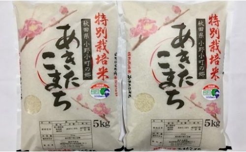 令和5年産米】小野小町の郷特別栽培米あきたこまち 5kg×2袋[B9-2201