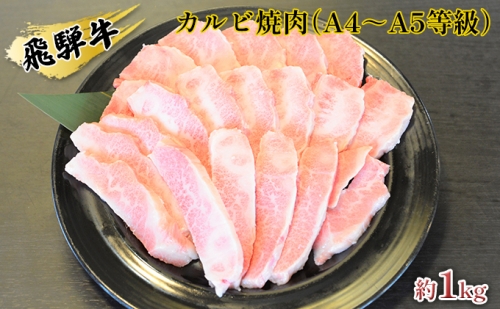 飛騨牛カルビ焼肉（A4～A5等級）約1kg（約250g×4パック） 158934 - 岐阜県安八町