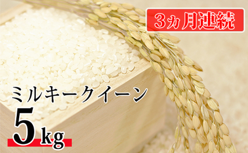 令和6年環境こだわり近江米ミルキークイーン5kg(無洗米)×3カ月連続お届け お米 3回 15kg 158950 - 滋賀県豊郷町