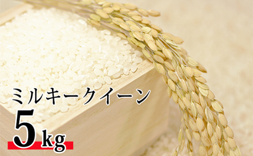 【新米】令和6年環境こだわり近江米ミルキークイーン5kg（無洗米） 158953 - 滋賀県豊郷町