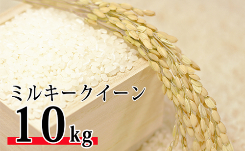 【新米】令和6年環境こだわり近江米ミルキークイーン10kg（無洗米） 158954 - 滋賀県豊郷町