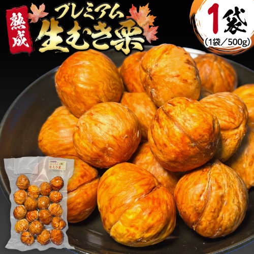  【 吉原農場 の 完熟栗 】 熟成 プレミアム 生むき栗 ( 渋皮付き 500g × 1袋 ) 完熟 栗 くり クリ 栗ごはん 果物 フルーツ 贈答 ギフト 旬 秋の味覚 秋 冬 正月 おせち 《 2025年10月下旬発送開始 》 [FC007sa] 1589655 - 茨城県桜川市