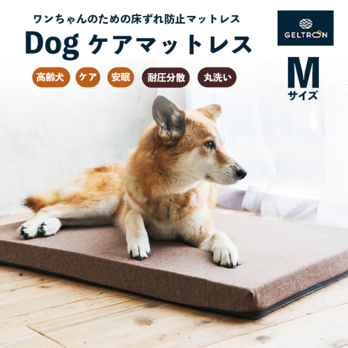 ジェルトロン Dog ケアマットレス Mサイズ ： ペット用品 いぬ 犬 ドッグ わんこ ベッド マット マットレス ケア 老犬 シニア犬 介護 ペットマット ドッグケア 床ずれ 防止 予防 寝たきり 病気 ケガ ペット介護 丸洗い 衛生的 介護用 ペットケア 京都 舞鶴 1589656 - 京都府舞鶴市