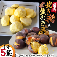 《 先行予約 》 【 吉原農場 の 完熟栗 】 熟成 生むき栗 ( 120g × 3袋 ) ＆ 焼き栗 ( 200g × 2袋 ) セット 完熟 栗 くり クリ 栗ごはん 果物 フルーツ 贈答 ギフト 旬 秋の味覚 秋 冬 正月 おせち 《 2025年10月下旬発送開始 》 [FC006sa]
