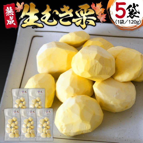 《 先行予約 》 【 吉原農場 の 完熟栗 】 熟成 生むき栗 ( 120g × 5袋 ) 完熟 栗 くり クリ 栗ごはん 果物 フルーツ 贈答 ギフト 旬 秋の味覚 秋 冬 正月 おせち 《 2025年10月下旬発送開始 》 [FC004sa] 1589663 - 茨城県桜川市