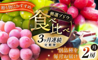 フルーツ[全3回定期便][2026年先行予約][30個限定][秀品]毎月ぶどうをお届け!イチオシ3品種 各2房 厳選 シャインマスカット マスカット ブドウ ぶどう 葡萄 大粒 季節 夏 限定 優品 果物 フルーツ お取り寄せ 旬 お中元 贈答 プレゼント 定期便 クイーンニーナ クイーンセブン 糖度 人気 おすすめ 一押し 定期便 島根県雲南市/ギアファーム [AIAB010]