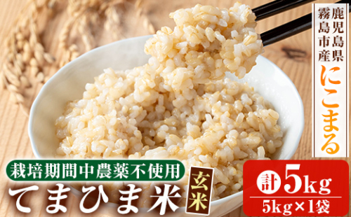 K-391-B 令和7年産 てまひま米・玄米(品種:にこまる)(計5kg)【末蜜農園】霧島市 お米 玄米 米 こめ コメ ご飯 ごはん 定期便 栽培期間中農薬不使用  1589991 - 鹿児島県霧島市
