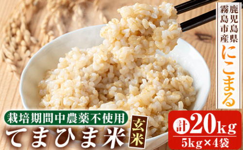 K-391-D 令和7年産 てまひま米・玄米(品種:にこまる)(計20kg)【末蜜農園】霧島市 お米 玄米 米 こめ コメ ご飯 ごはん 定期便 栽培期間中農薬不使用 1589993 - 鹿児島県霧島市