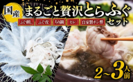 期間限定 とらふぐ まるごと セット てっさ てっぴ ふぐちり ふぐヒレ 冷凍 特製 ポン酢 薬味 付き 贅沢 国産 すだち ふぐ皮 ちり鍋 新鮮 てっさ盛 ふぐ刺し ふぐ皮 刺し身 ふぐ 高級魚 鮮魚 ふぐ 魚介 フグ刺し ふぐ 河豚 刺盛り 天然 養殖 贈答 プレゼント ギフト ふぐ 高級 中元 歳暮 記念日 ご褒美 お取り寄せ グルメ ふぐ 人気 おすすめ 愛知県 南知多町