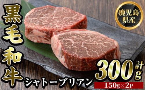 K-328 鹿児島県産黒毛和牛 シャトーブリアン(計300g・150g×2枚)【ビーフ倉薗】霧島市 牛肉 ステーキ ステーキ肉 ヒレ フィレ 赤身 国産 鹿児島県産 黒毛和牛 肉 精肉 牛 1590173 - 鹿児島県霧島市