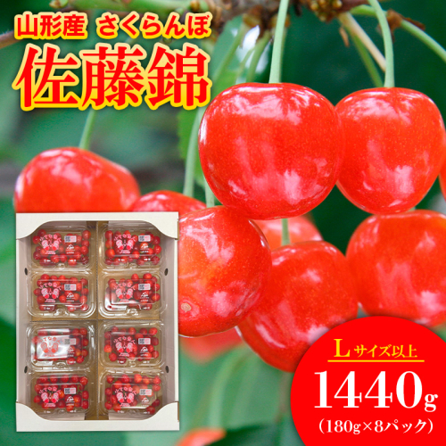 さくらんぼ佐藤錦 Lサイズ 1440g(180g×8パック) 【令和8年産先行予約】FS25-562 159070 - 山形県山形市