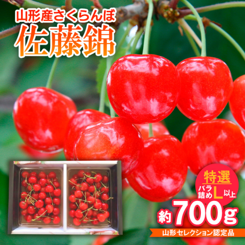 さくらんぼ 佐藤錦 特選バラ詰め L以上 約700g山形セレクション認定品 【令和8年産先行予約】FS25-717 159077 - 山形県山形市