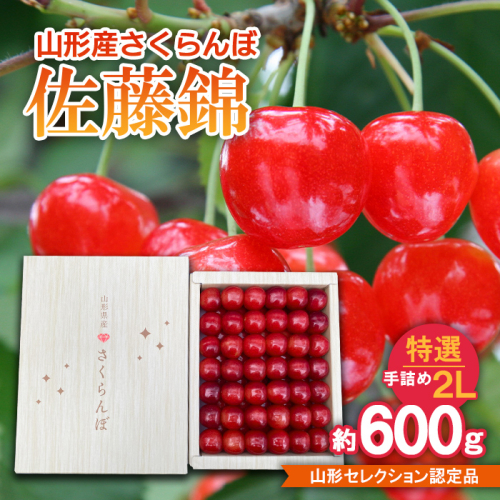 さくらんぼ 佐藤錦 特選 手詰め 2L 約600g 山形セレクション認定品 【令和8年産先行予約】FS25-718 159078 - 山形県山形市