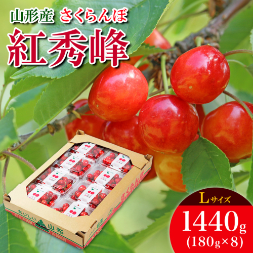 さくらんぼ 紅秀峰 L 1440g(180g×8) 【令和8年産先行予約】FS25-537 159079 - 山形県山形市