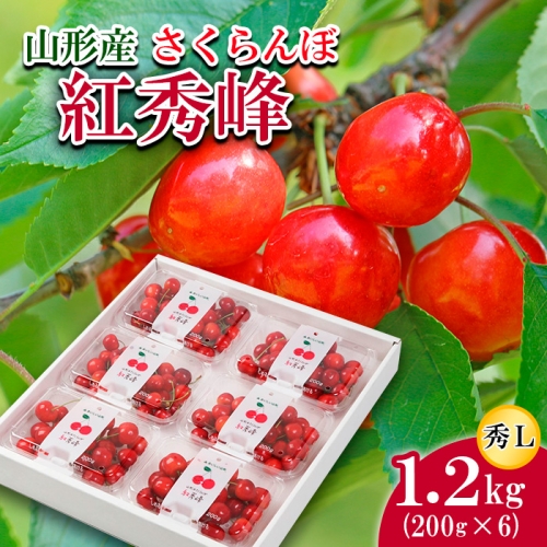 FS21-816 さくらんぼ 紅秀峰 秀L 1.2kg(200g×6)