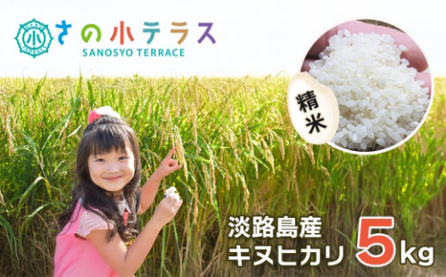 令和7年度 淡路島産キヌヒカリ 5kg (精米) 1590915 - 兵庫県淡路市
