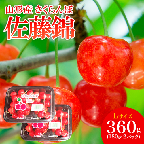 山形産 さくらんぼ 特選 佐藤錦 L 360g(180g×2パック入) 【令和8年産先行予約】FS25-503 159131 - 山形県山形市