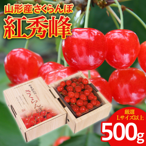 さくらんぼ 紅秀峰 厳選 L以上 500g入り1箱 【令和8年産先行予約】FS25-559 159132 - 山形県山形市