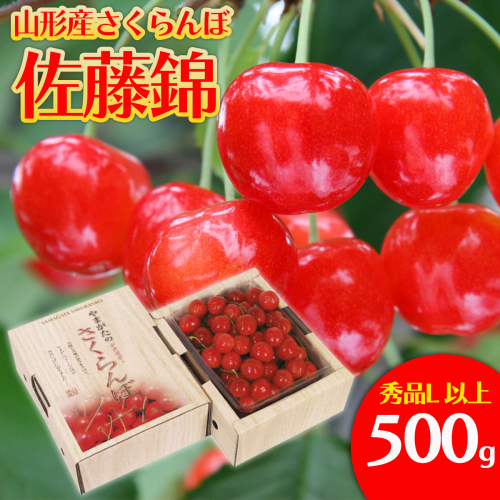さくらんぼ 佐藤錦 Lサイズ 500g 【令和8年産先行予約】FS25-560 159133 - 山形県山形市