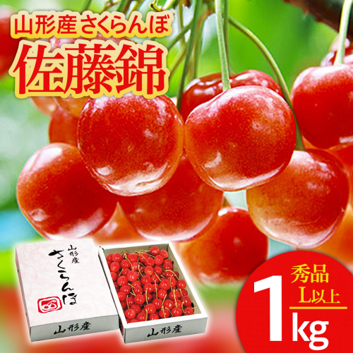さくらんぼ 佐藤錦 Lサイズ以上 1kg 1箱 【令和8年産先行予約】FS25-563 159138 - 山形県山形市
